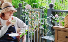 Mất 5 năm chăm bón, mẹ đảm đã tạo ra khu vườn quanh năm xanh mát, hoa nở bốn mùa