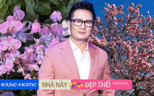 Khu vườn mùa xuân trong biệt thự ở Mỹ của Bằng Kiều: Hoa anh đào nở rộ chiếm ''spotlight'', gia chủ nở mũi "flex"