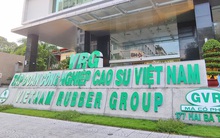 Cổ phiếu tăng 30%, giá trị vừa vượt 100.000 tỷ, GVR đón tin xấu: Thua kiện, bị buộc phải hoàn trả hơn 141 tỷ đồng