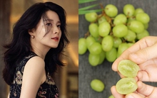 Loại quả quen thuộc giúp Lee Young Ae U60 giảm nhanh 6kg, duy trì nhan sắc trẻ trung: Có sẵn 4 mùa ở Việt Nam