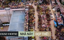 Thích sen đá, người phụ nữ 37 tuổi biến sân thượng thành khu vườn ngập tràn loại hoa này