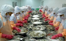 Trung Quốc tăng nhập thủy sản Việt Nam gấp 3 lần