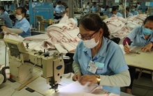 Người lao động nhiều ngành nghề được xem xét nghỉ hưu ở tuổi thấp hơn