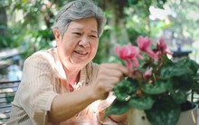 Ngoài 60 tuổi, dù giàu hay nghèo, người khôn ngoan vẫn duy trì 4 “nguyên tắc” để yên tâm hưởng phúc, sống sung sướng hết đời