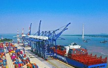 Xử lý thế nào việc hãng tàu nước ngoài 'lạm thu'?