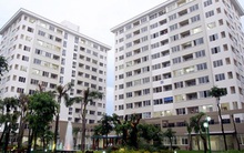 Nhà ở thuộc tài sản công được quản lý, sử dụng như thế nào?