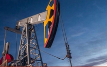 Nga cấm xuất khẩu xăng dầu trong vòng 6 tháng