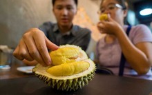 Đại chiến sầu riêng ở Trung Quốc: Người dân mong ngóng nguồn nhập khẩu mới, Thái Lan sắp mất ngôi vương vào tay Việt Nam?