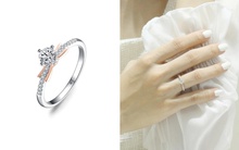 Top 10 kiểu nhẫn cầu hôn đẹp cho ngày Valentine Trắng 2024