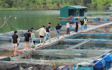 Exchange for Change - Mô hình mới cho các hoạt động chung tay phát triển cộng đồng