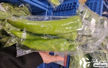 Một quả ớt to bằng cổ tay, cơm sinh viên chỉ 40k đồng/suất: Hé lộ những điều bất ngờ trong cuộc sống của du học sinh Việt ở "thành phố đắt đỏ" Thượng Hải