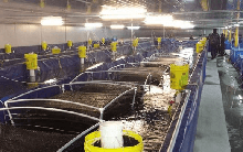 Trung Quốc bất ngờ tăng nhập khẩu gấp 3 lần mặt hàng này của Việt Nam: Nước ta là 'ông trùm' đứng thứ 2 thế giới, hơn 100 quốc gia đặt gạch mua hàng