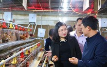 Sáp nhập và những vấn đề cần tháo gỡ