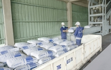 Năm 2024: Ngành xi măng kỳ vọng sẽ khởi sắc trở lại “đường băng” tăng trưởng