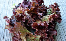 1 loại rau sống “quốc dân” tốt ngang insulin, hạ đường huyết hiệu quả, chống viêm, chắc xương: Bán tràn lan ở chợ Việt