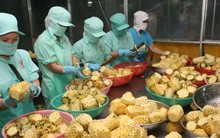 Tín hiệu tích cực xuất khẩu nông sản năm 2024