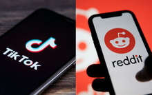 TikTok và Reddit có thể là nền tảng trực tuyến được tìm kiếm nhiều nhất?
