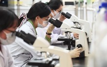 Lương chuyên gia cao cấp sẽ tương đương với lương bộ trưởng