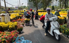 Hoa giá rẻ được ưa chuộng