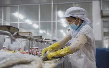 Quy định mới về miễn thuế thu nhập doanh nghiêp, thuế thu nhập cá nhân