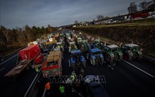 EU 'đi trên bãi mìn' với các mục tiêu khí hậu mới