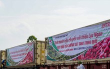 Thủ tướng: Tăng xuất khẩu nông sản sang Trung Quốc bằng đường sắt