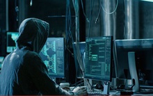 Mối nguy tin tặc đánh thuê