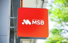 Vừa đổi tên, ROX Living bị phạt 2,9 tỷ đồng vì “bán chui” cổ phiếu MSB