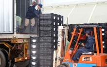 Xuất khẩu năm 2024 kỳ vọng khởi sắc từ những tín hiệu tích cực