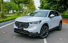 Những mẫu xe gầm cao giá dưới 1 tỷ đồng nên lựa chọn