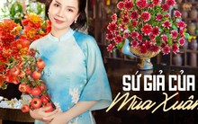 30 Tết, cắm 1 bình thược dược cam để nhà thêm rực rỡ sắc màu, sung túc đủ đầy đón năm mới an vui