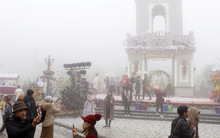 Sa Pa gần kín phòng dịp Tết