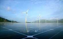 Dẫn vốn cho tăng trưởng xanh