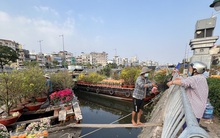 Buôn bán hoa Tết có lỗ như nhiều người nghĩ?