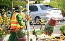 Lý do tiểu thương TP.HCM đập bỏ hoa chiều 30 Tết khiến dân mạng bất ngờ