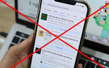 Cảnh báo 4 chiêu trò lừa đảo trực tuyến dịp Tết, người dân cảnh giác!