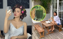 Đây là loại rau "đắt cũng nên mua" mà Hà Tăng lẫn Minh Hằng đều "mê mệt": Ăn sáng, ăn vặt lẫn xay sinh tố đều không thể thiếu