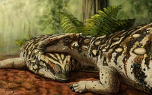 Trung Quốc: Phát hiện quái thú 4 sừng chưa từng biết