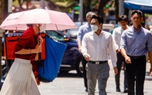 Mùa hè 2024 có thể xuất hiện nhiệt độ cao kỷ lục do tác động của tác động của El Nino