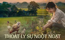 Cô gái 8x bỏ tất cả trở về quê để sống không áp lực lại khiến nhiều người khen chê trái chiều