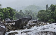 Dự án nghìn tỉ đồng, 7 năm chỉ làm hạng mục phụ