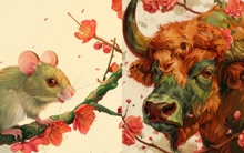 Được cưới cô gái thuộc con giáp này là phúc lớn của người đàn ông có từ kiếp trước