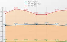 Giải mã sức nóng của tỉ giá