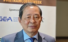 Vì sao giá cà phê tăng phi mã?