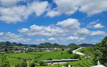 Tỉnh nghèo miền núi vươn lên trở thành "hiện tượng", xuất hiện nhiều "tỷ phú nông dân"