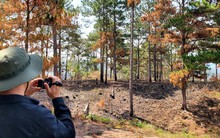 Yêu cầu Công ty Sài Gòn Đại Ninh tăng cường bảo vệ rừng tại siêu dự án 25.000 tỉ đồng