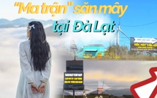 Du khách rối bời trước "ma trận" săn mây ở Đà Lạt: Thật giả lẫn lộn, xảy ra tình trạng chèo kéo tranh giành khách
