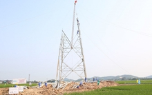 Đường dây 500kV mạch 3 Quảng Trạch - Phố Nối gặp khó khăn, vướng mắc gì?