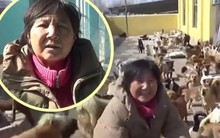 Người phụ nữ gánh nợ gần 2 tỷ đồng để cứu hàng nghìn chó mèo hoang