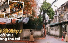 Chẳng ngờ sau một đêm ngủ say mà Hà Nội đã "khoác màu áo mới", đẹp đến nao lòng